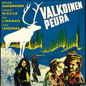 Photo Le Renne blanc