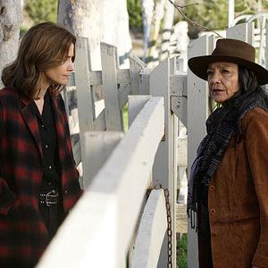 Photo Tantoo Cardinal