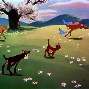 Photo Coquin de printemps