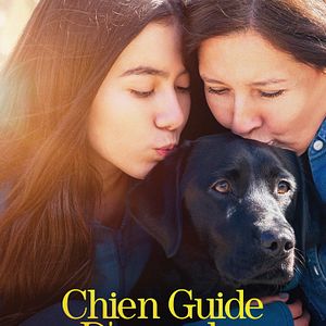 Photo Chien guide d'aveugle en devenir