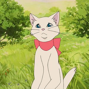 Photo Le Royaume des chats