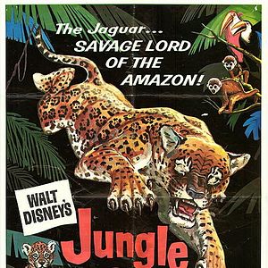Photo Jungle Cat