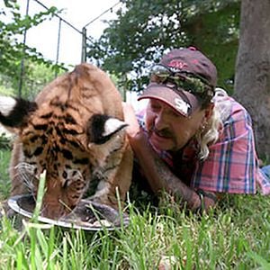 Photo Au royaume des fauves