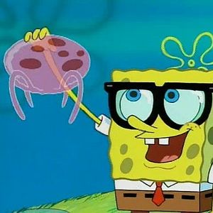 Photo Bob l'éponge