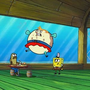Photo Bob l'éponge