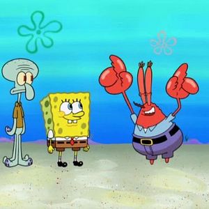 Photo Bob l'éponge