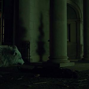 Photo Hemlock Grove