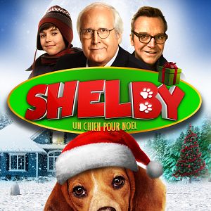 Photo Shelby, un chien pour Noël