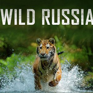Photo Destination Wild : Russie à l'État Sauvage