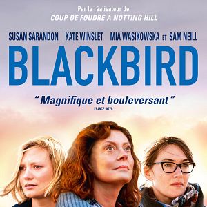 Photo Blackbird