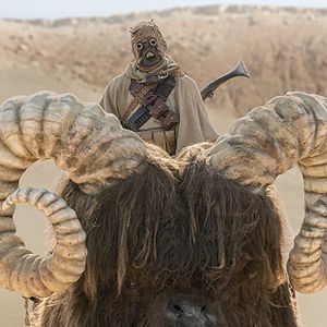 Photo The Mandalorian