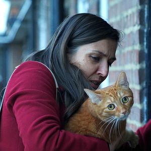 Photo Un chat dans le mur
