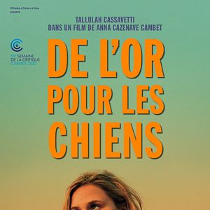 Photo De l’or pour les chiens