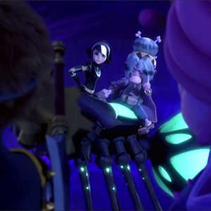 Photo Zak Storm