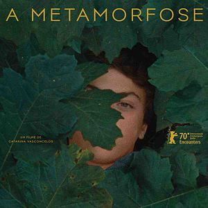 Photo The Metamorphosis of Birds