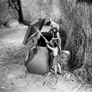 Photo Janice Logan