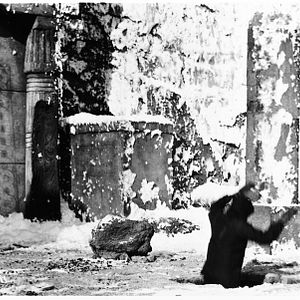 Photo Le Peuple de l'enfer