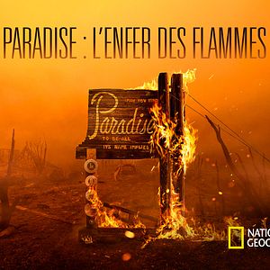 Photo Rebuilding Paradise