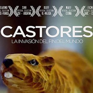 Photo Beavers: Patagonia Invaders