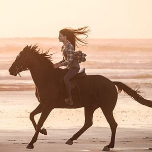 Photo Black Beauty