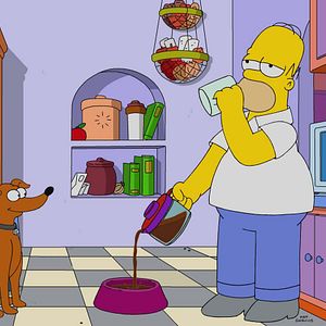 Photo Les Simpson