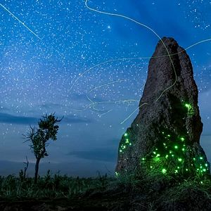 Photo Terre : les couleurs nocturnes