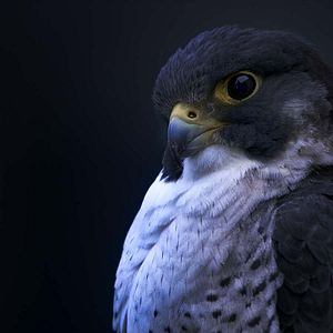 Photo Terre : les couleurs nocturnes