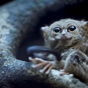 Photo Terre : les couleurs nocturnes