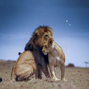 Photo Terre : les couleurs nocturnes