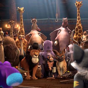 Photo Oups ! J’ai encore raté l’arche…