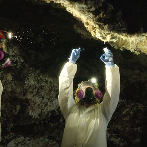 Photo Les Mondes extraterrestres