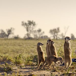 Photo Les Mondes extraterrestres