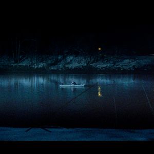 Photo L'Arbre (Drvo)