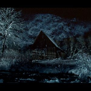 Photo L'Arbre (Drvo)