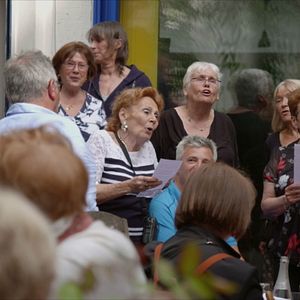 Photo Pingouin & Goéland et leurs 500 petits