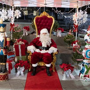 Photo Christmas On Ice