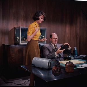 Photo Le Sport favori de l'homme