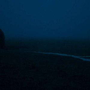 Photo Sputnik - Espèce Inconnue