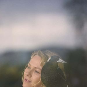 Photo Naomi Watts