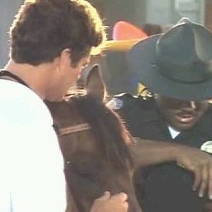 Photo Alerte à Malibu