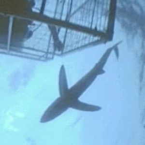 Photo Alerte à Malibu