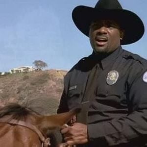 Photo Alerte à Malibu