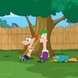 Photo Phineas et Ferb