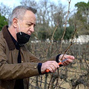 Photo Carlos Hipolito