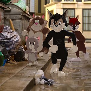 Photo Tom et Jerry