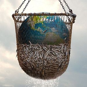 Photo Seaspiracy : La Pêche en Question