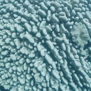 Photo National Geographic : Vues de la Terre