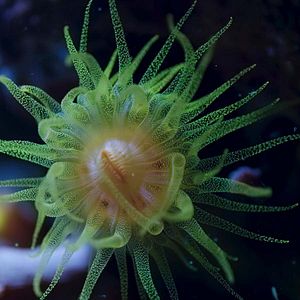 Photo Terre : les couleurs nocturnes