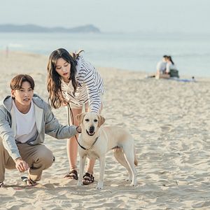 Photo Lovestruck in the City