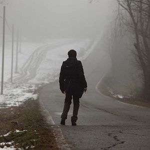 Photo L'Ape e il vento